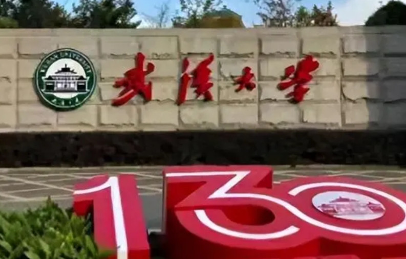 武汉大学撤销肖同学的处分，恢复名誉很简单，依据就是法院的判决，尊重法律的权威。但