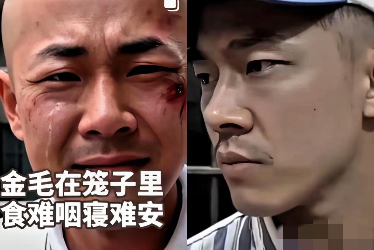 听说这金毛还要上诉，利用规则之便利，还能混个半年左右。阳寿还没到啊！还能拖个一年