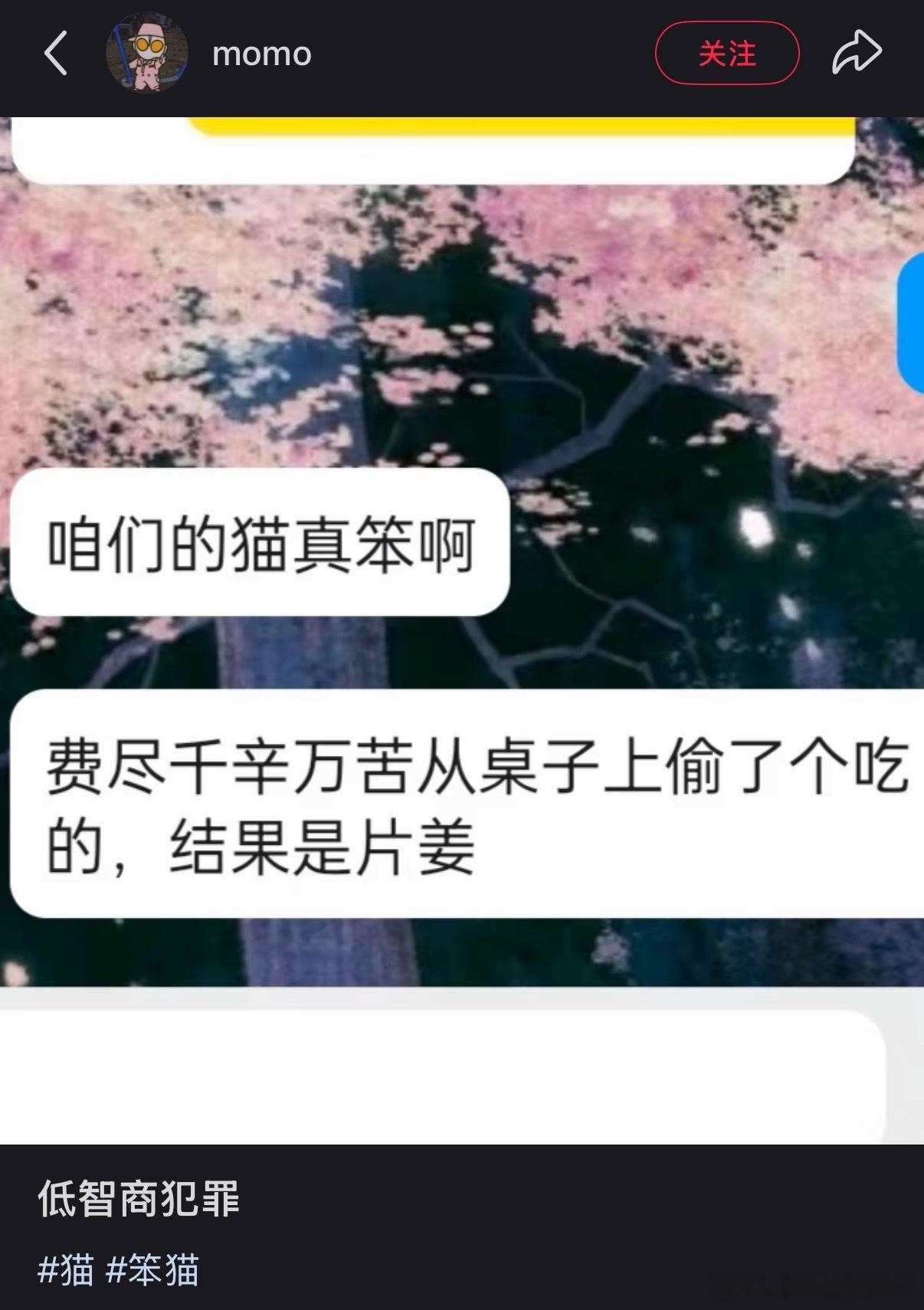 姜老师又一受害者