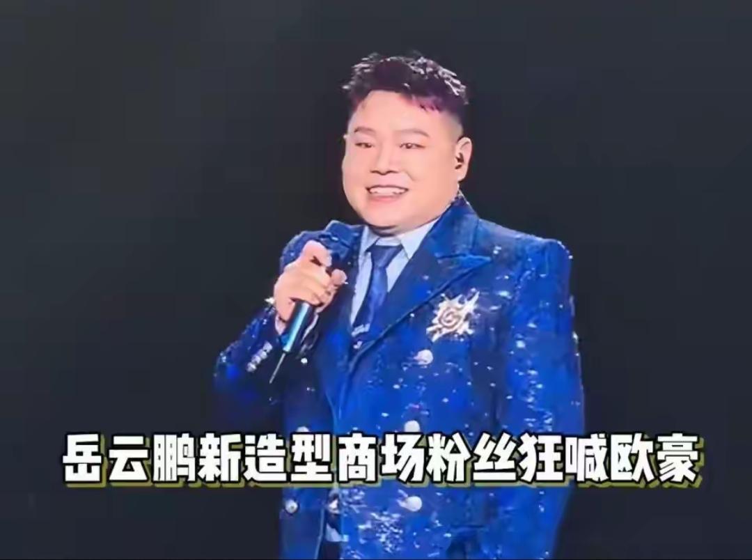 近日，岳云鹏在个人演唱会上遭遇了一段有趣的互动。台下有粉丝调侃他撞脸欧豪，岳云鹏