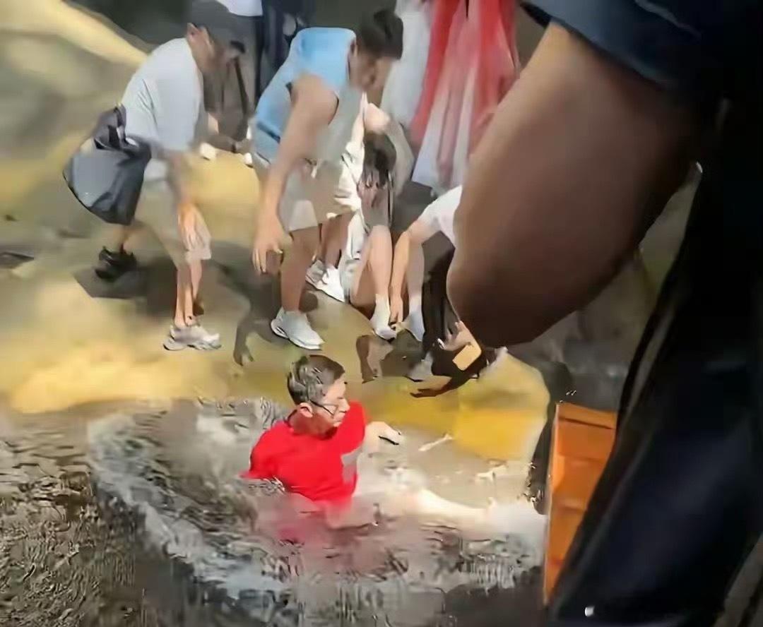 著名景点张继科落水处这就去打卡“张继科落水处”，顺便蹲一个踹人“真凶”！[笑c