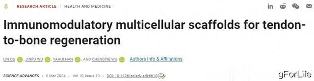 Bsports平台：《Science》子刊 纳米细胞支架促进