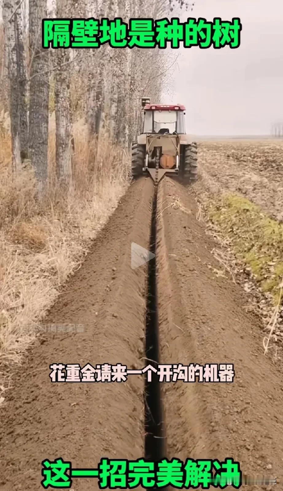 真是一个狠人，一招解决邻居家的树影响自家庄稼的问题。邻居家不讲武德，挨着地边儿，