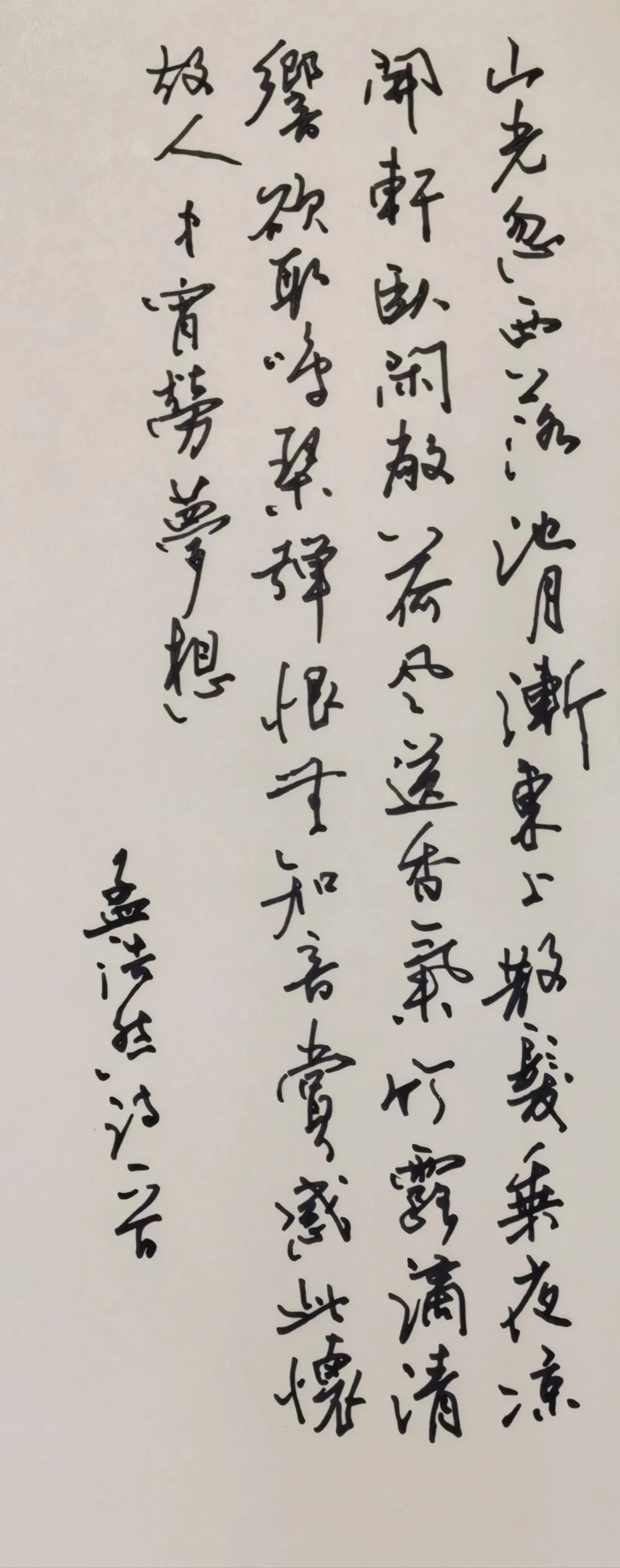 第一次用这种纸。钢笔写字，写出了毛笔的感觉。简要点评行笔洒脱流畅，字势错落