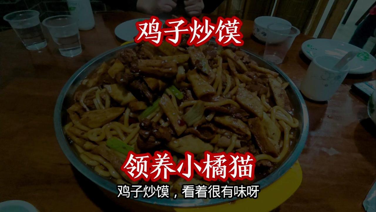 朋友家的猫生了小橘猫，特意留了两只给我家小黑作伴。收拾好就出发，接到小猫的时候，