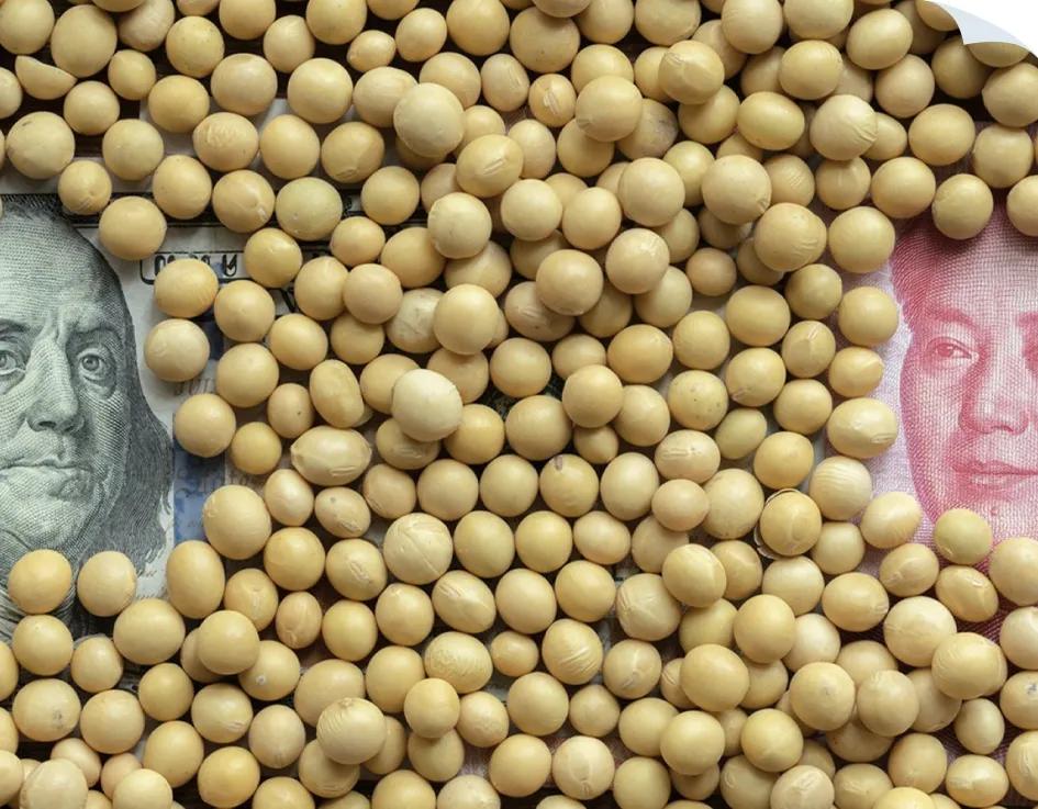 豆粕、小麦、玉米是全球主要的农作物。农产品的期货价格主要受产量影响。上个月，据科