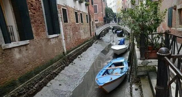 1956年，威尼斯市政府决定要全面清理一次河道淤泥，就开始招标，但是由于给的预算