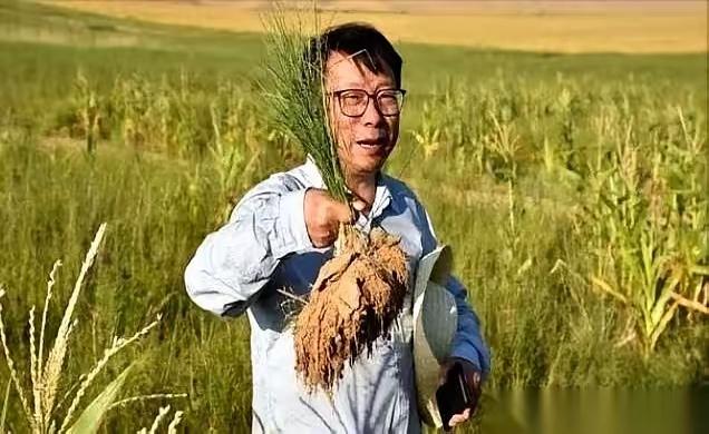 一个修了一辈子桥的教授，正盯着手里的混凝土配方发愁。他脑子里突然蹦出一个念