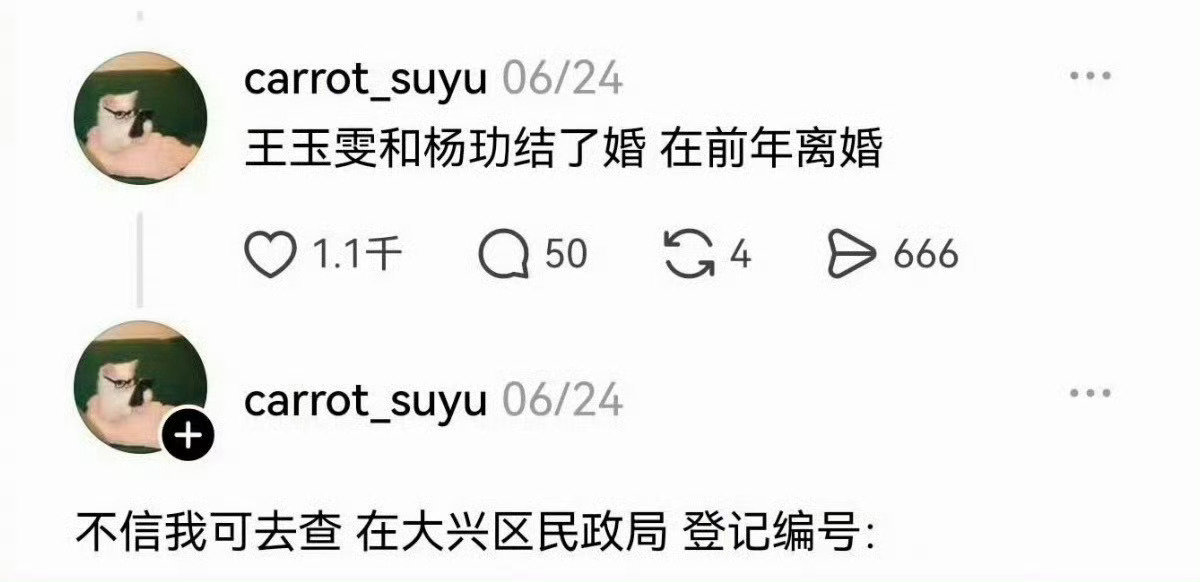传王玉雯杨玏俩人曾经结过婚，后来又离婚了，真的假的我一直以为王玉雯没有结过婚！​