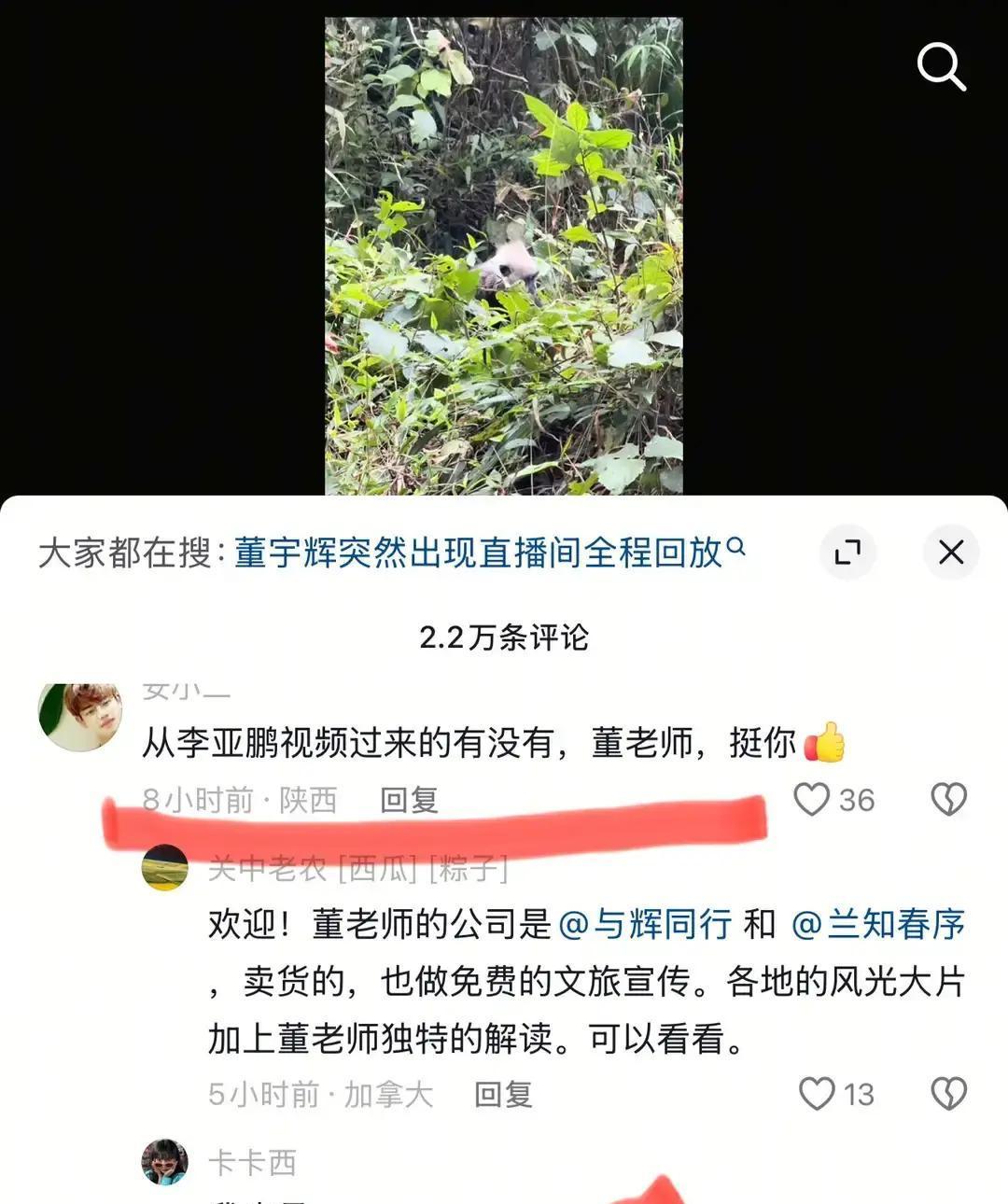 你是不是担心过，有些人一旦离开平台，影响力就没了？董宇辉“与辉同行”首播，12