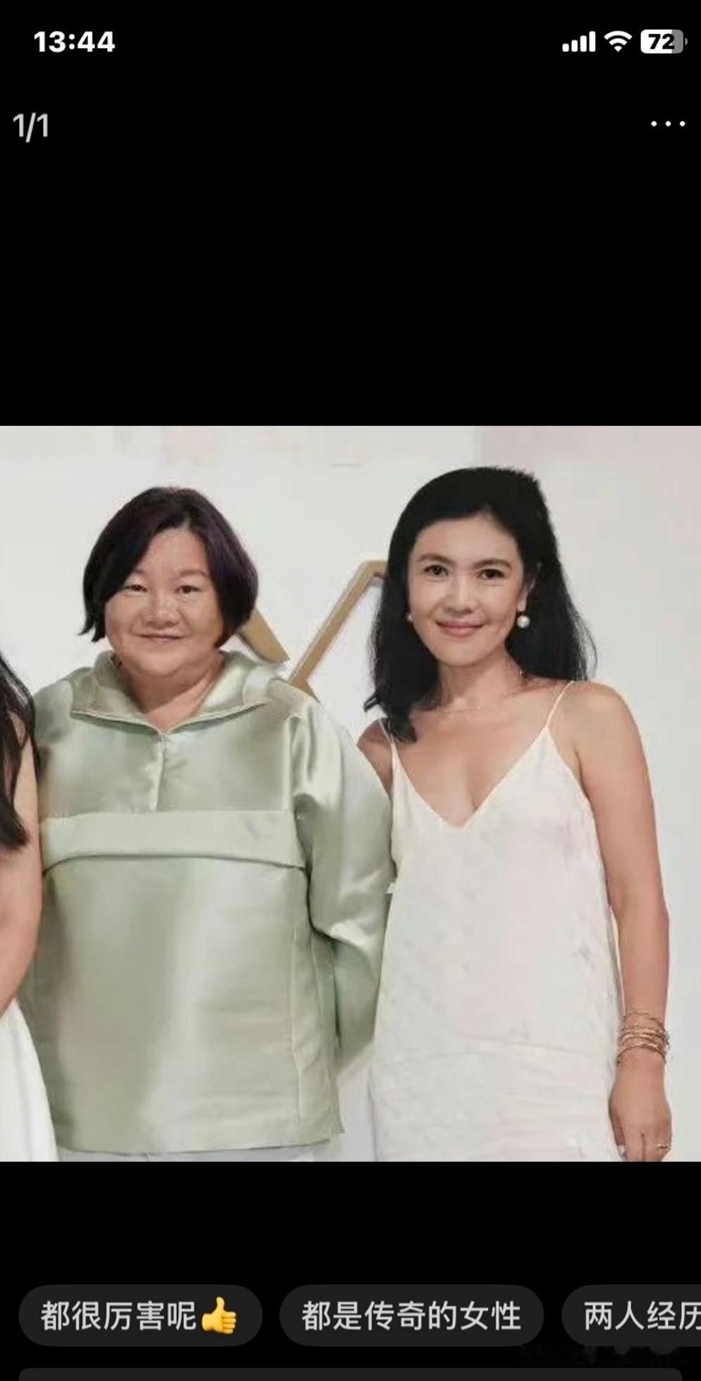为什么又胖又丑的洪晃时尚理念会被大众接受，而总是一身奢侈大牌派头的时尚女魔头苏芒