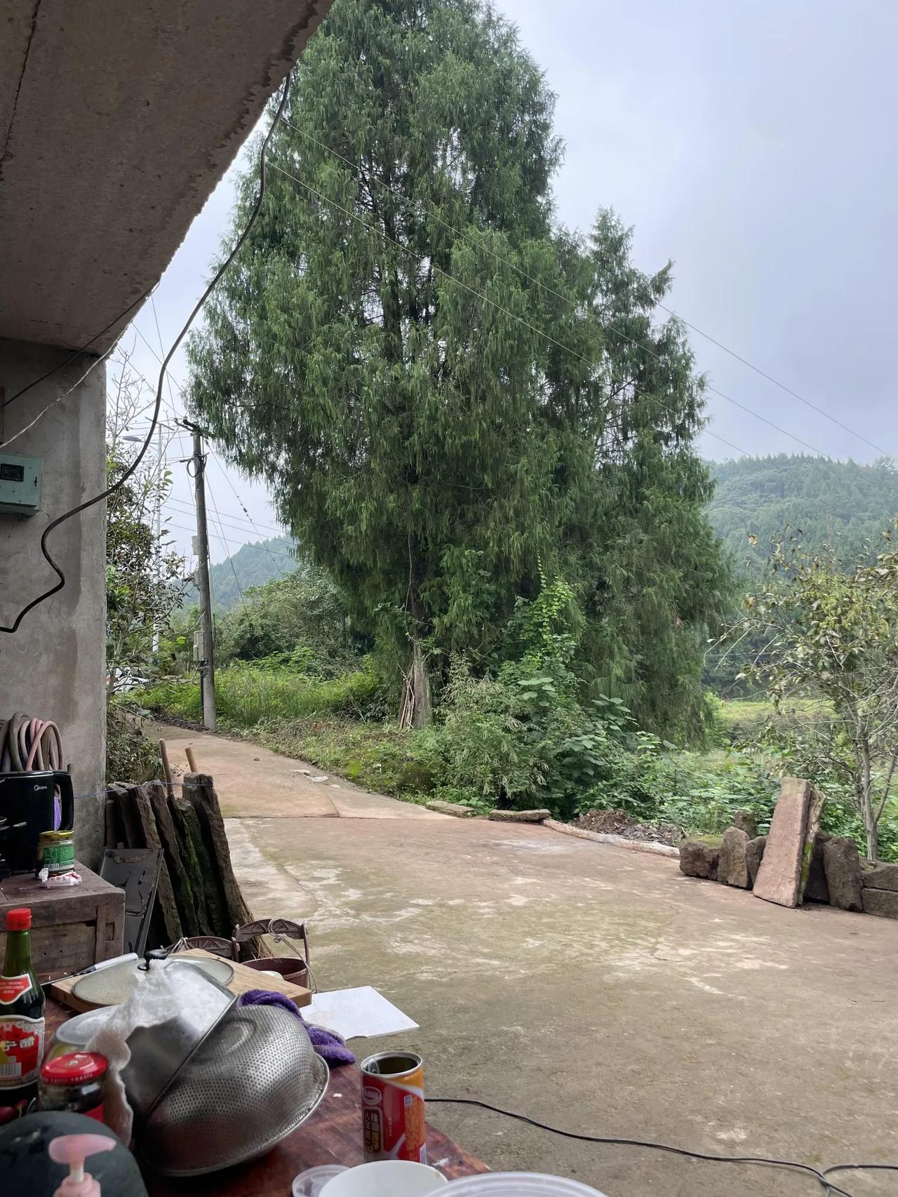 人一辈子太苦了妈妈生病快二十年了，06年大一突然接到消息妈妈病危，仿佛天都塌了