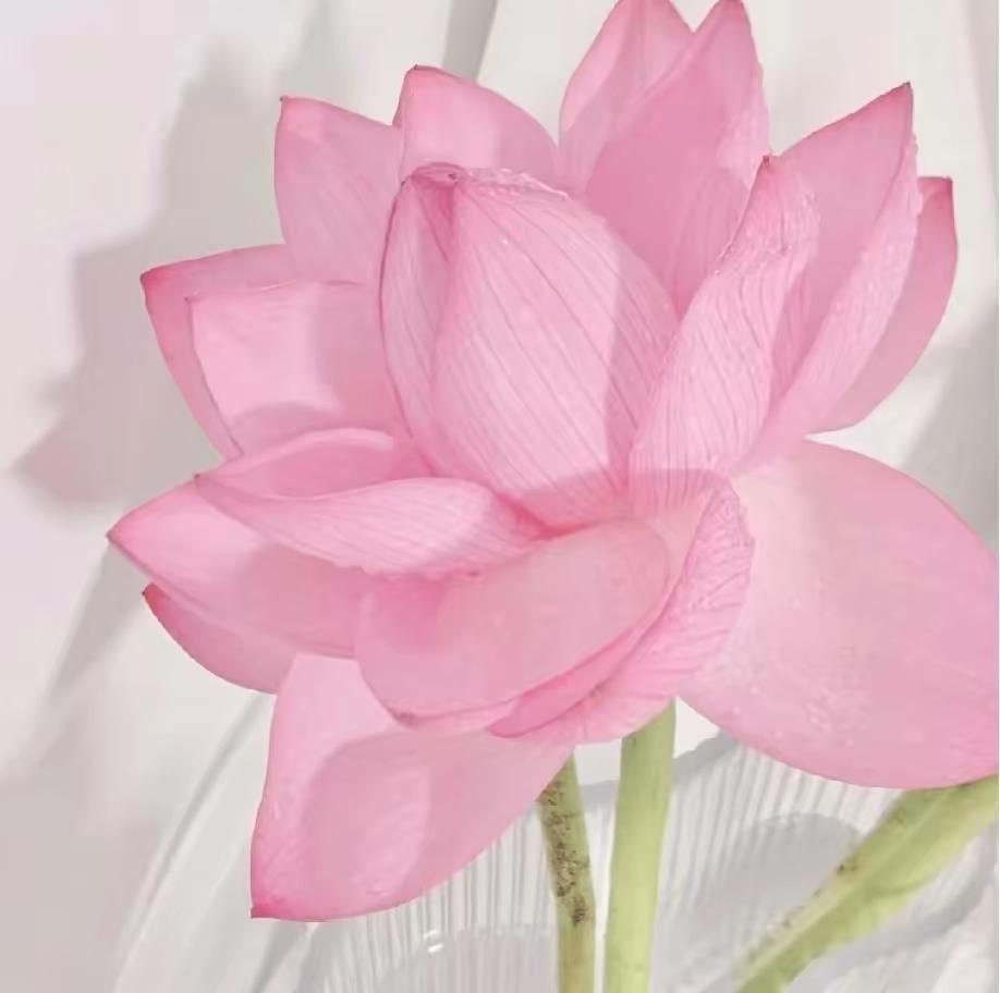 真正厉害的女人，就干好两件事：​第一，闷声搞钱。不晒朋友圈，不晒恩爱，不晒