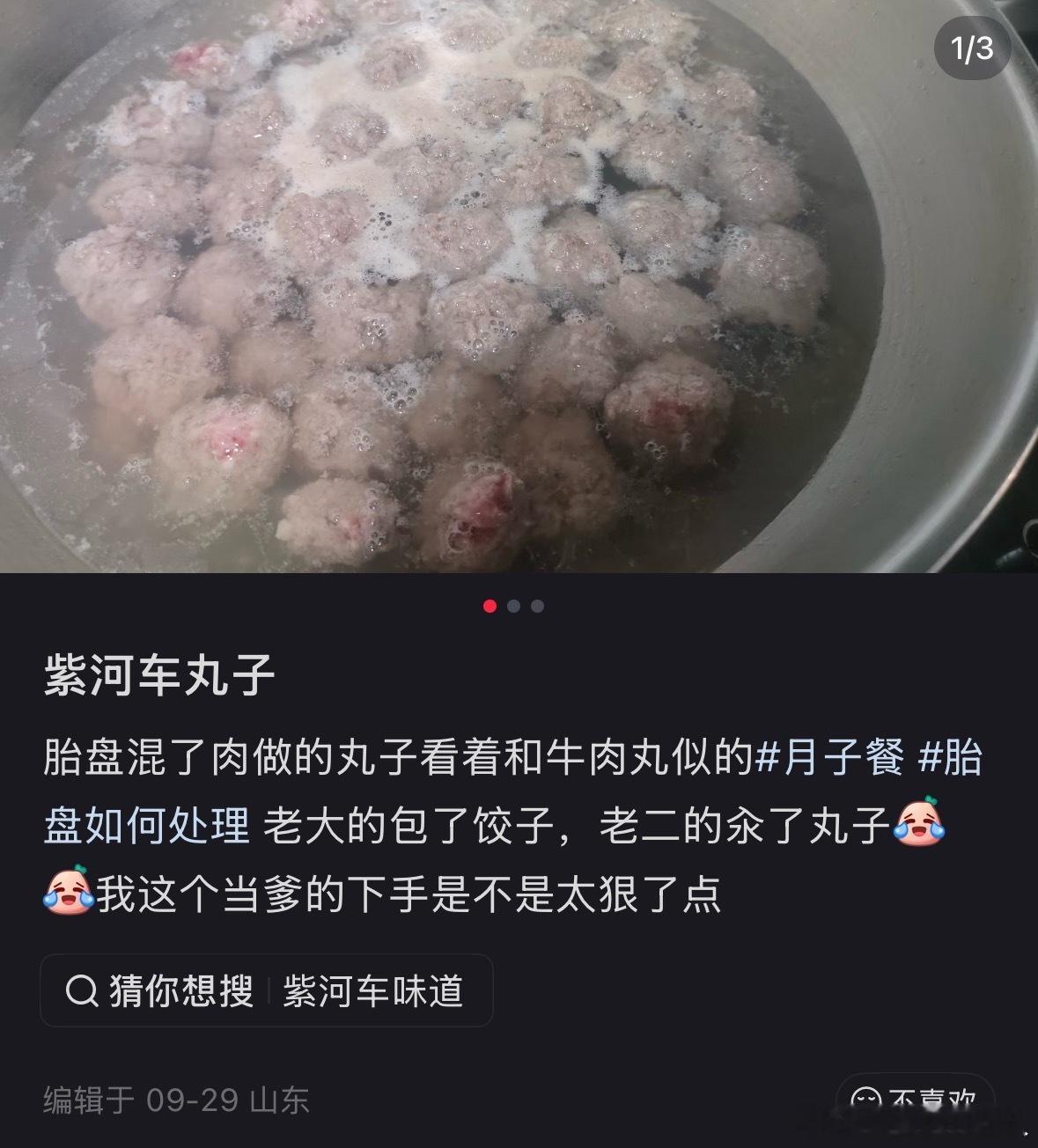 沙东故事每次刷到拿胎盘做菜，就会想起那个电影《饺子》​​​