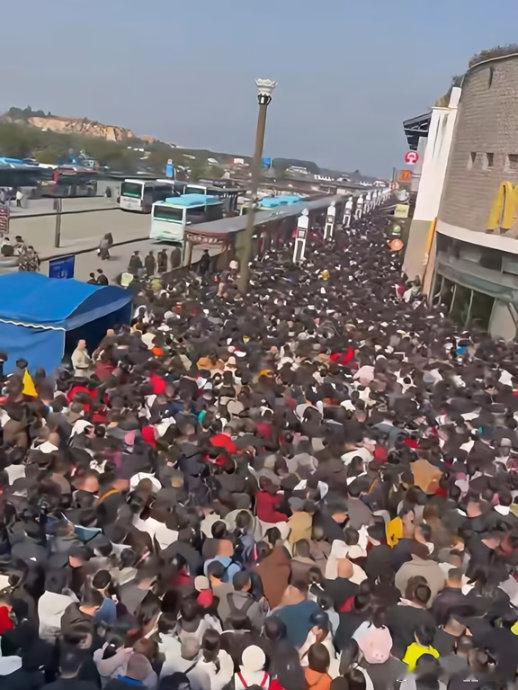 为啥今年过来，来我们普陀山的人这么多？