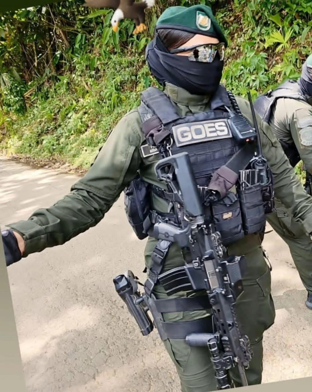 哥伦比亚国家警察GOES单位