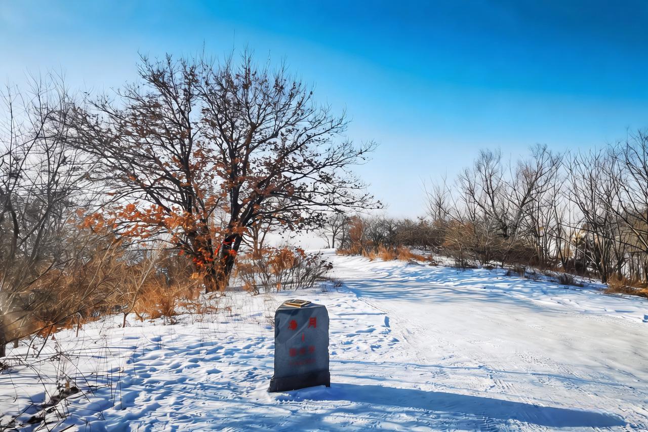 登高望野城外山雪积厚，小径叠满足迹，北而南曲弧而上。左岗平缓，右坡陡立，柞