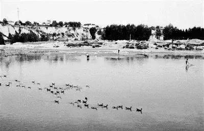 1942年，瑞大娘煮好鸡蛋给八路军送去，结果看到他们站成一排小解。瑞大娘害羞得赶