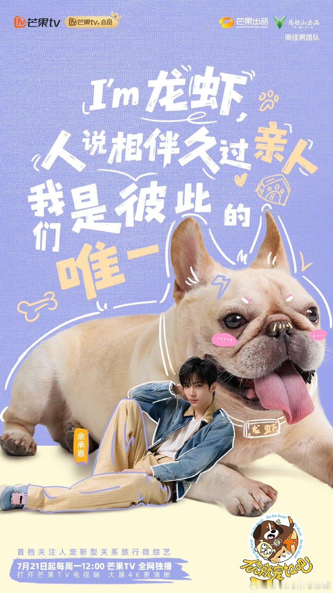 你就宠ta吧阵容官宣你就宠ta吧定档沙一汀和宠物相处日常？光是脑补就笑出声！预