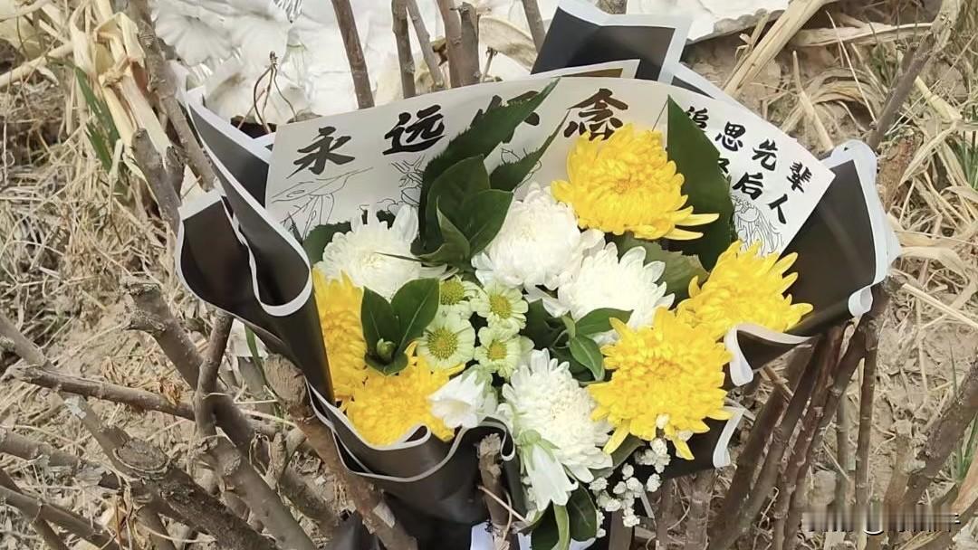 清明上坟，听到最感人的话！为什么清明节要上坟，古人讲：树高千尺不忘根，人行千里