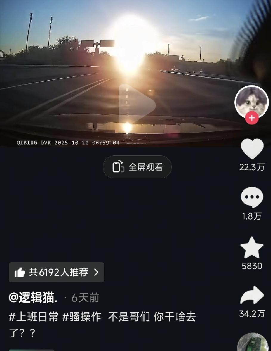 问为什么撞上铁栏回：我被太阳袭击了我以前一直觉得开车带墨镜很装，直到我开车后