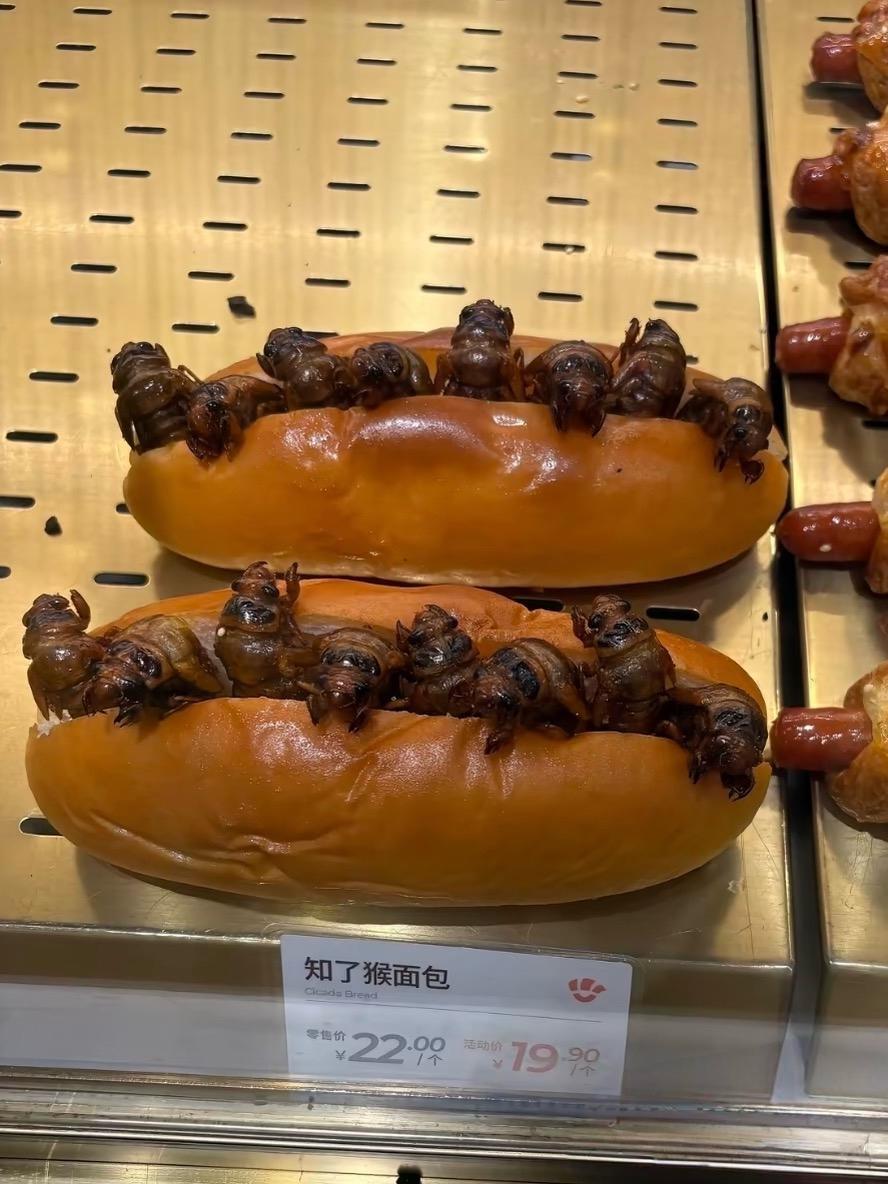 还有这样的面包？