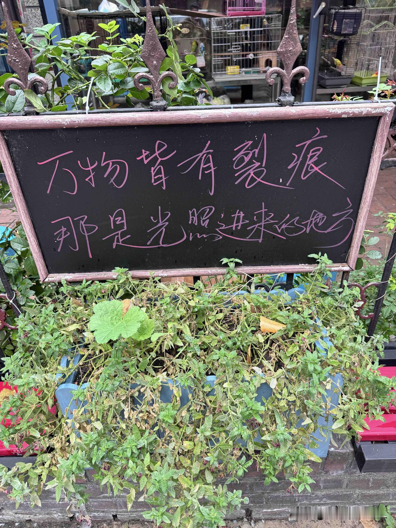 在妈妈家楼下，和几位邻居凑在一块儿闲聊，说起那位收废品的大姐居然攒下了百万存款，