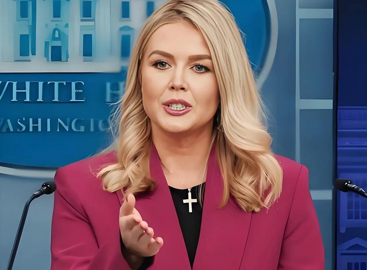 又怀上了。白宫美女发言人莱维特周五大大方方表示：已怀有二胎，将于不久暂别发言人