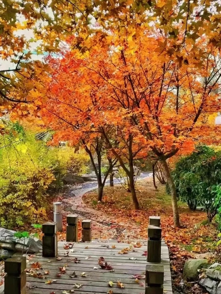 谁拿你立威,你就拿他立案谁拿你立威，你就要当场地摁死谁。在这个时候你千万不能再