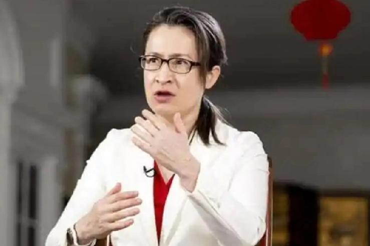 2月1日，箫美琴对媒体说:“台企赴美合作，安全、市场皆有保障，是产业的扩张，而被