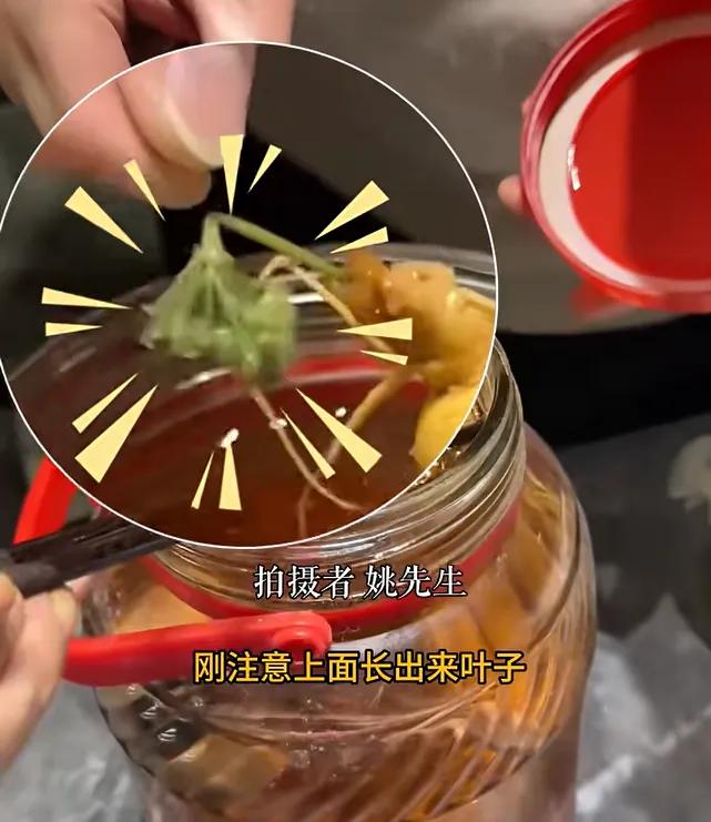 解释不清了！上海一位姚先生，最近翻出来一瓶泡了三年的药酒。本来嘛，泡了就忘了，哪