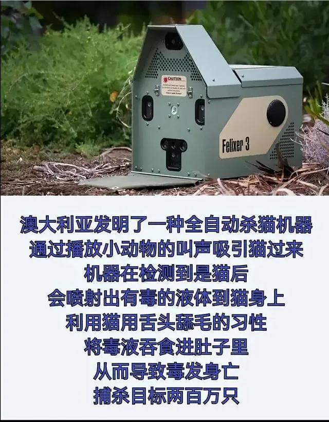 澳大利亚本来没有猫，因为鼠患严重就引进了猫捉老鼠，结果鼠患未灭，猫患又起。在没有