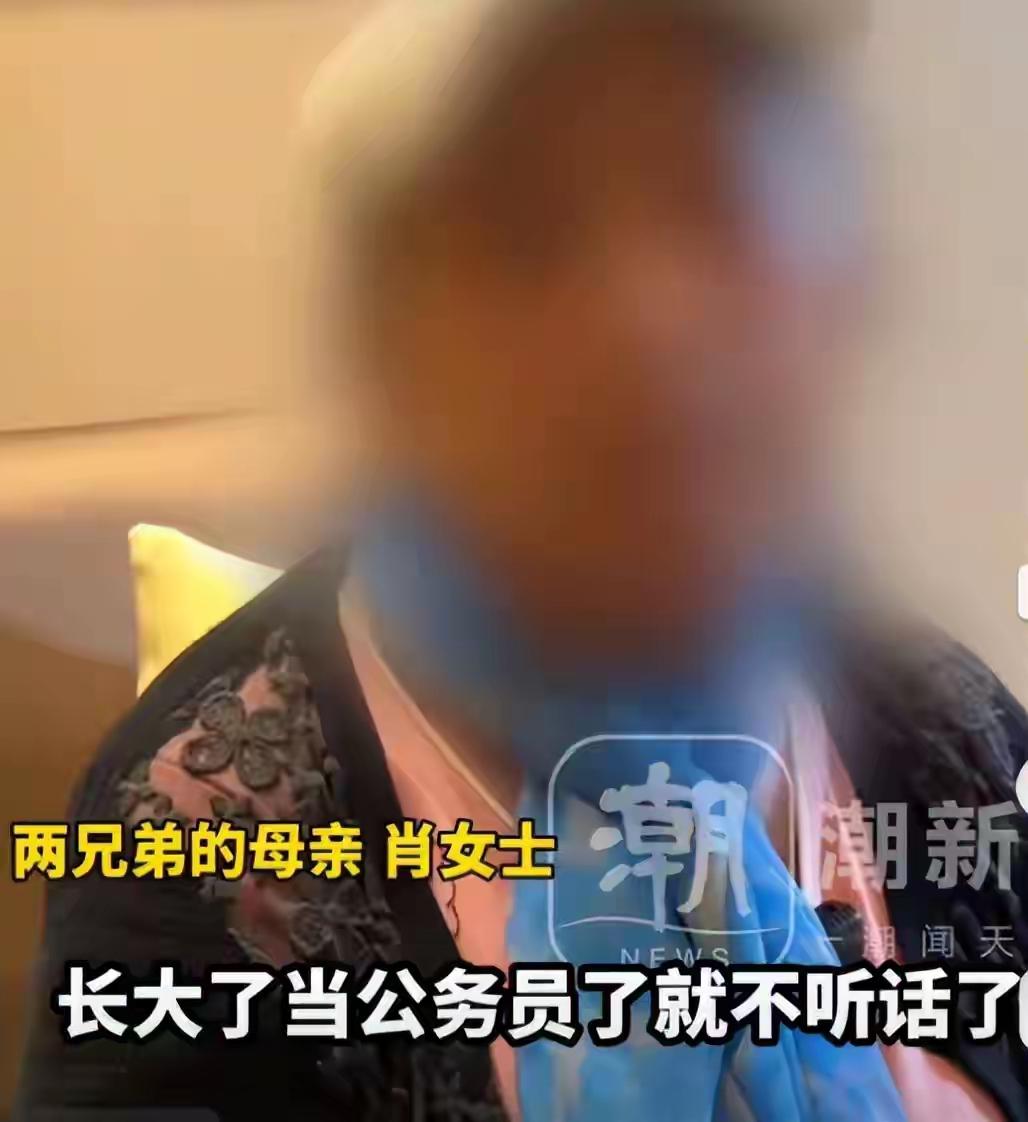 这个当妈的谎话连篇，自己撒的谎都圆不回来。她一直说两个儿子是双胞胎，又说漏嘴
