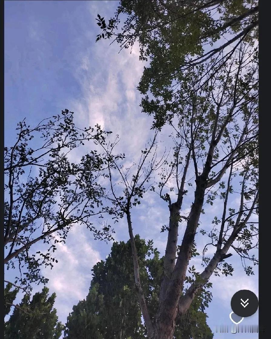 我就不明白了为啥孩子花父母的钱从来不觉得自己是父母的负担还会给父母提