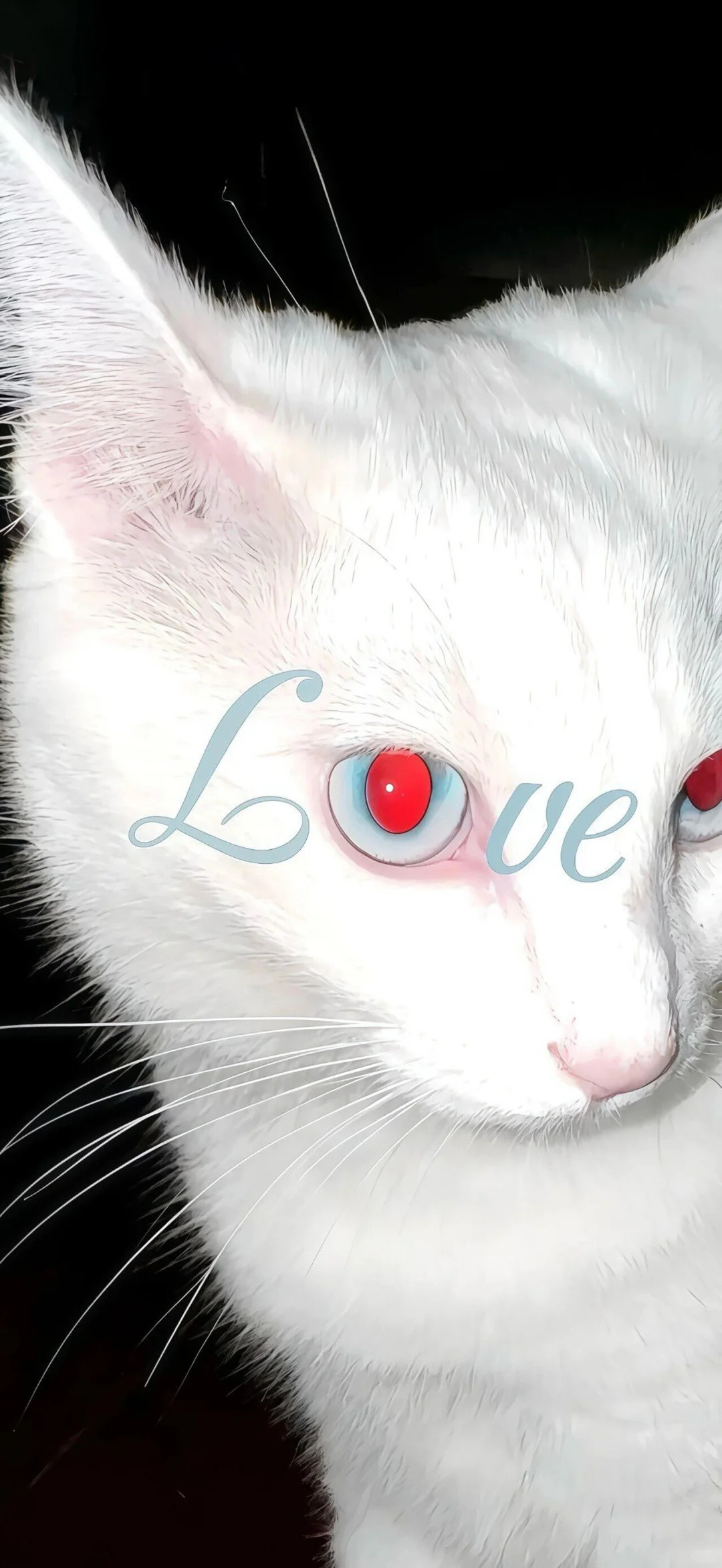 𝘀𝗵𝗮𝗿𝗲审美积累壁纸分享𝙒𝙚𝘾𝙝𝙖𝙩wallpa