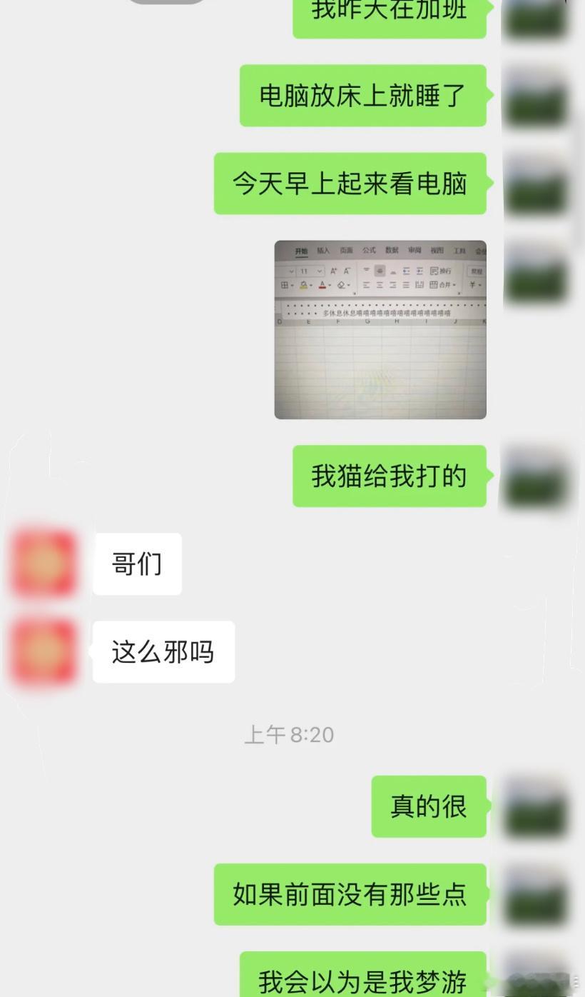 小猫用电脑给自己留言了[哭哭]​​​