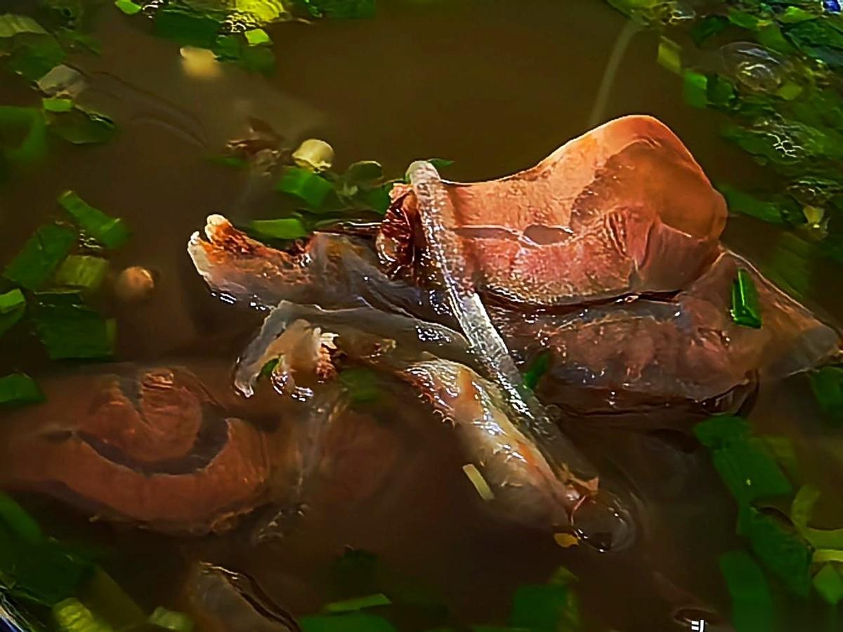 零下13度的花土沟，半夜能把人活活冻成一根冰棍儿。就在这种地方，有个叫赵登文的