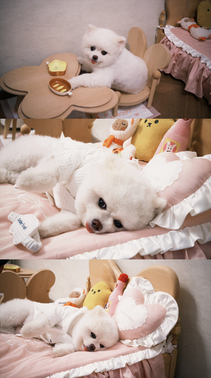 孟子义沈妙营业孟子义眉毛在发光孟子义沈妙营业