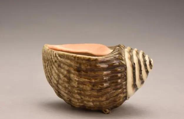 1952年河南老宅翻修，男子从夹墙里掏出个木盒，打开竟是只巴掌大的海螺。这东