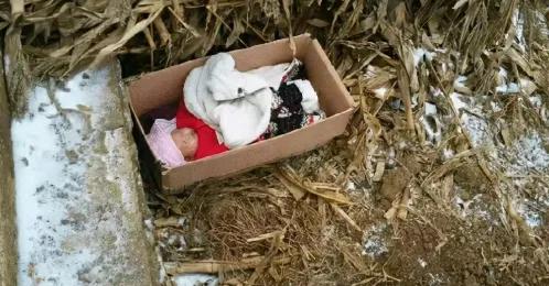 1987年，湖北一对夫妻生下女儿不想要，把女儿扔掉，24年后，女儿成为海外博士，