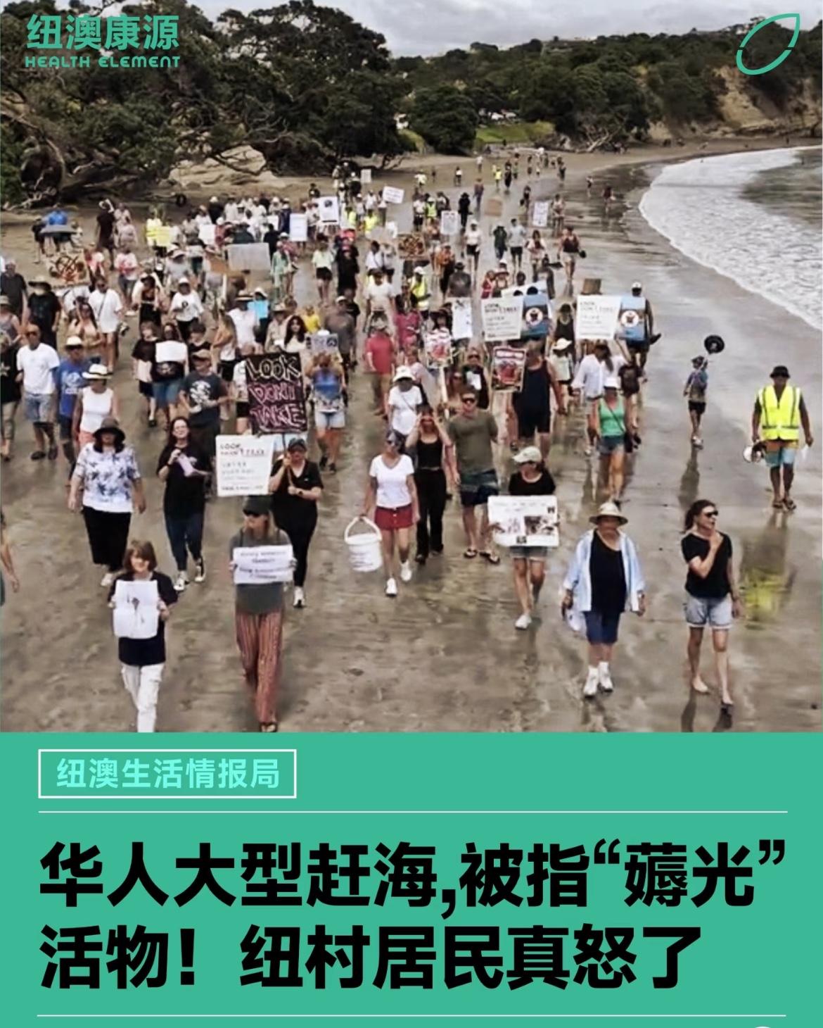 新西兰华人赶海惹怒当地居民，引发抗议，刚开始，他们只是在奥克兰海边小规模的采些小