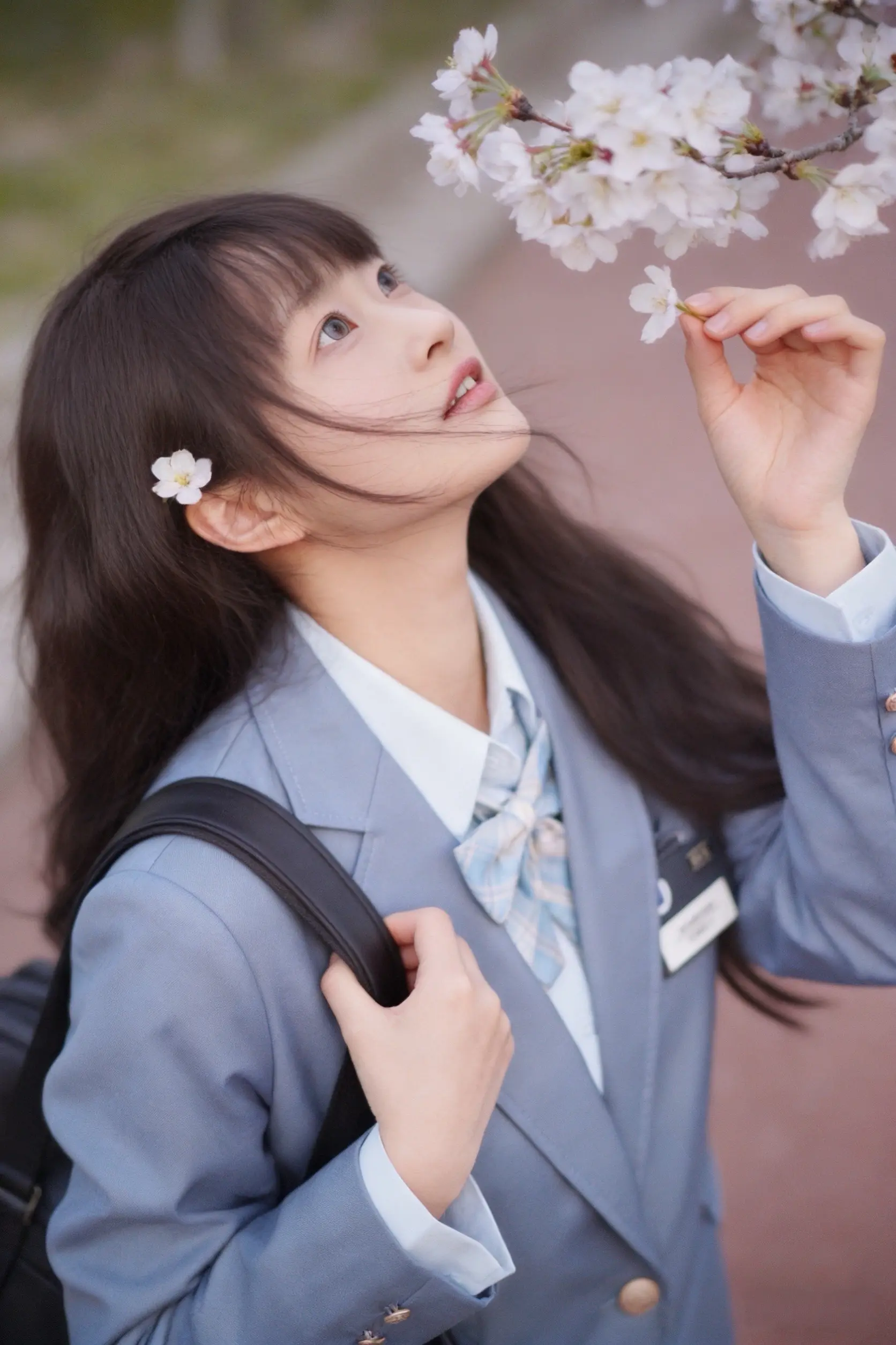 所有文案，都没有樱花本身浪漫。