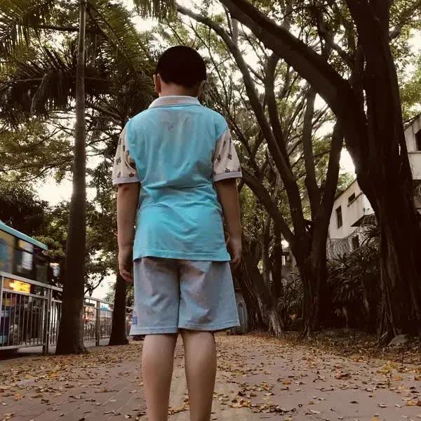 天塌了。邻居那即将高中毕业的儿子被抓了，好好上学的孩子怎么就犯了罪呢？原