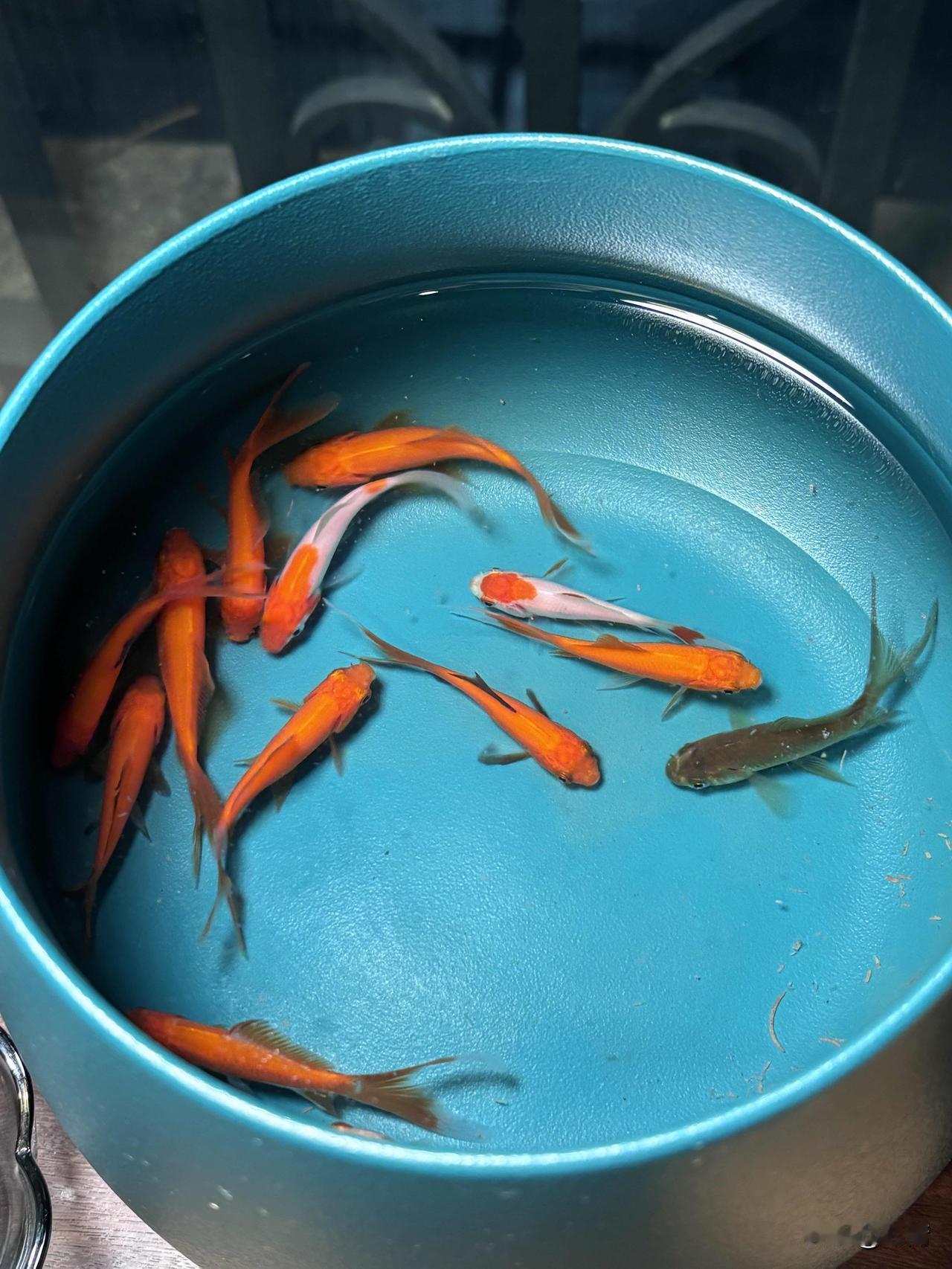 查理·芒格：最好的活法，是把简单的事情重复一辈子！在这个充满了“更多、更快、