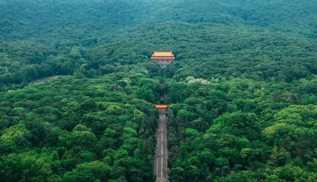 南京中山陵的台阶，丈量着历史的厚度。有心人查了查，中山陵的台阶一共有392级。这
