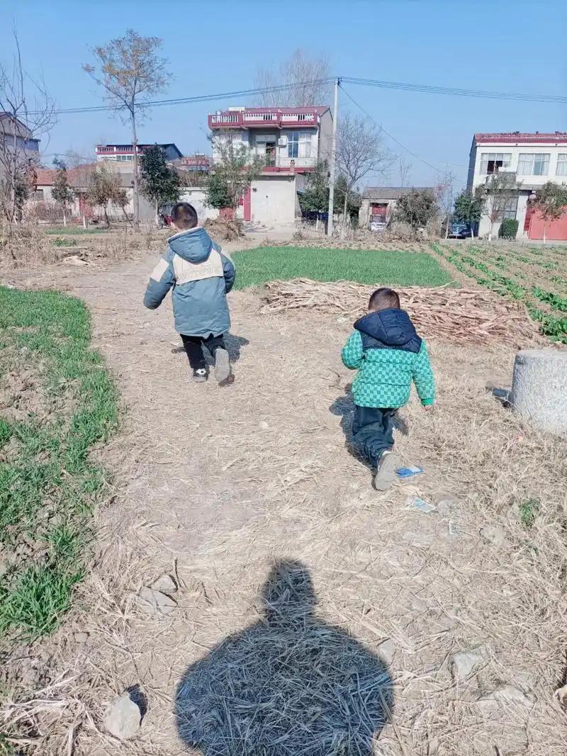 江西宜春，56岁大妈带着一个2岁多，一个3岁多的孙子去山上挖红薯，而后让2个孙子