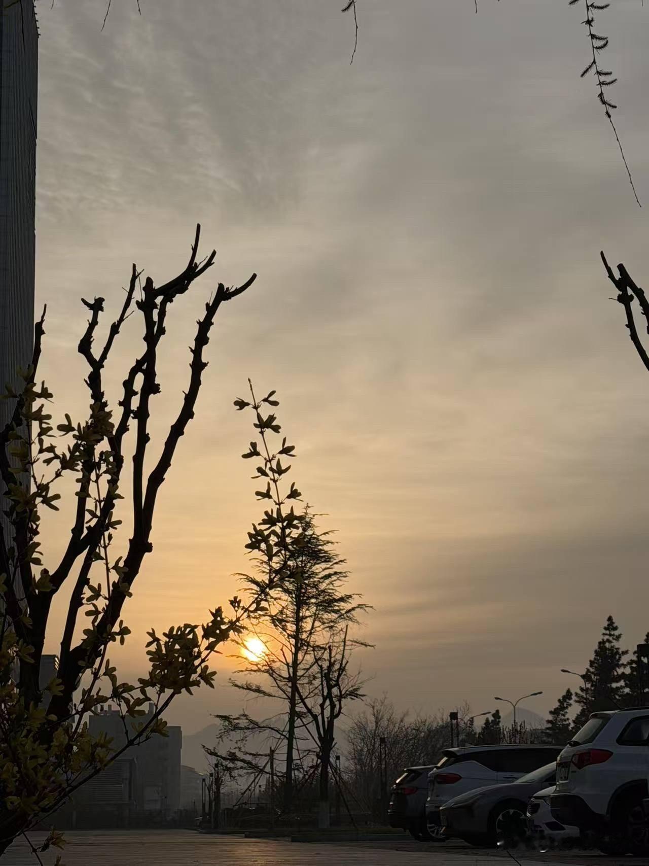 鹧鸪天，摇落南风白玉兰摇落南风白玉兰，花林明暗鸟声繁。何人楼下耕方寸，哪个