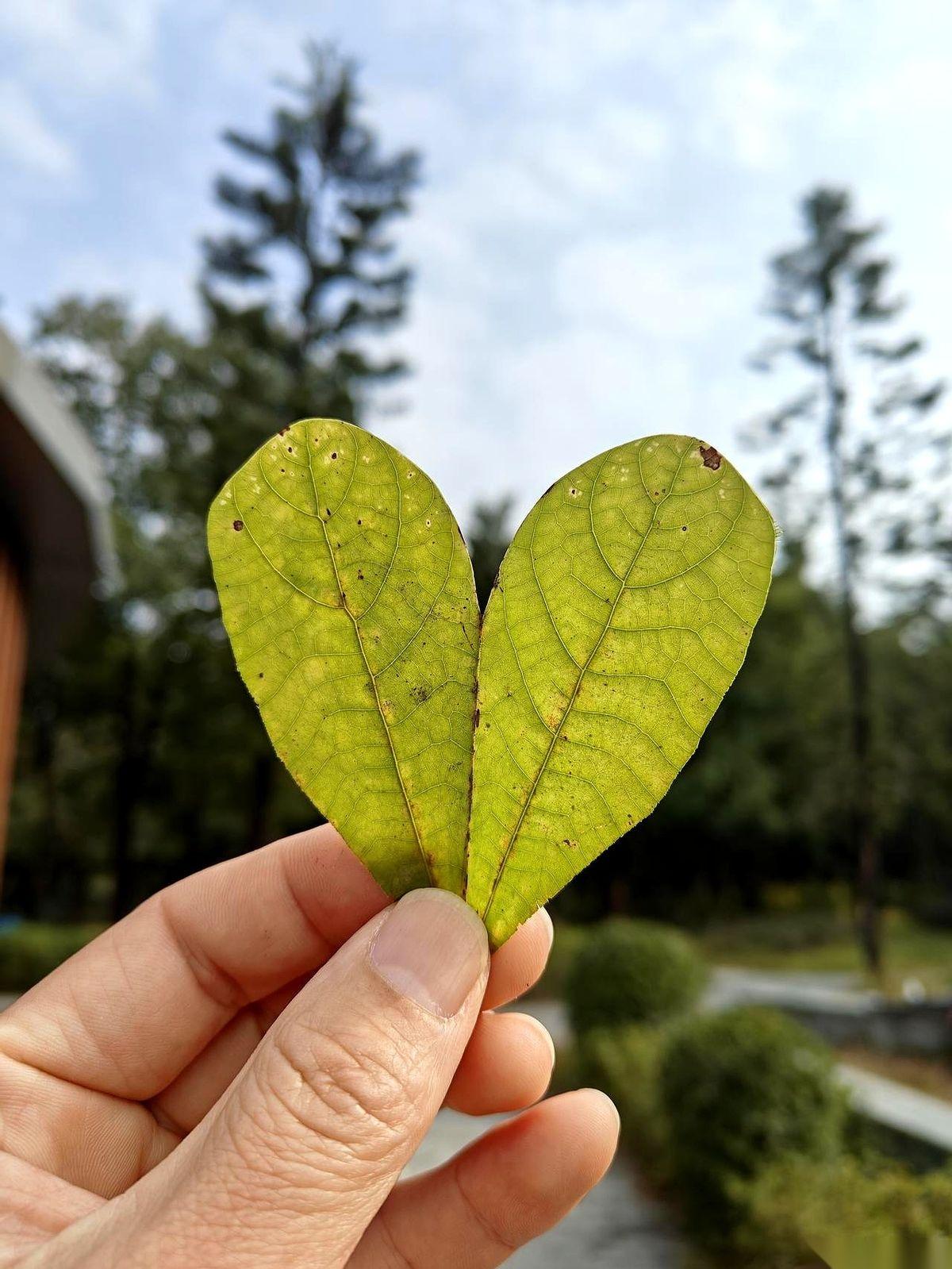 领益智造这支票，剧本已经写好了。高盛那帮人，直接把尺子拉到22块6，后面一堆机