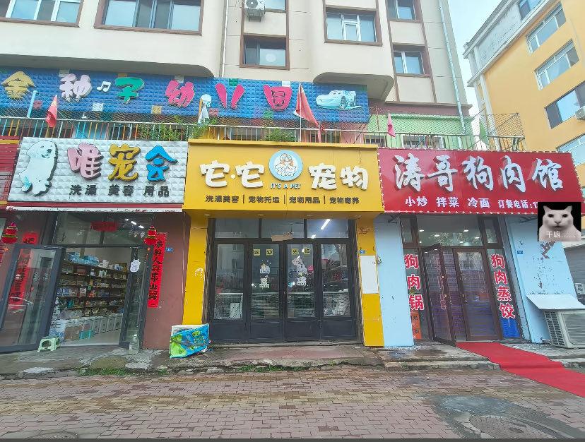 这是真的全产业上下头啊。涛哥收到品相好的宠物狗可以卖给旁边的它它。它它家可以和