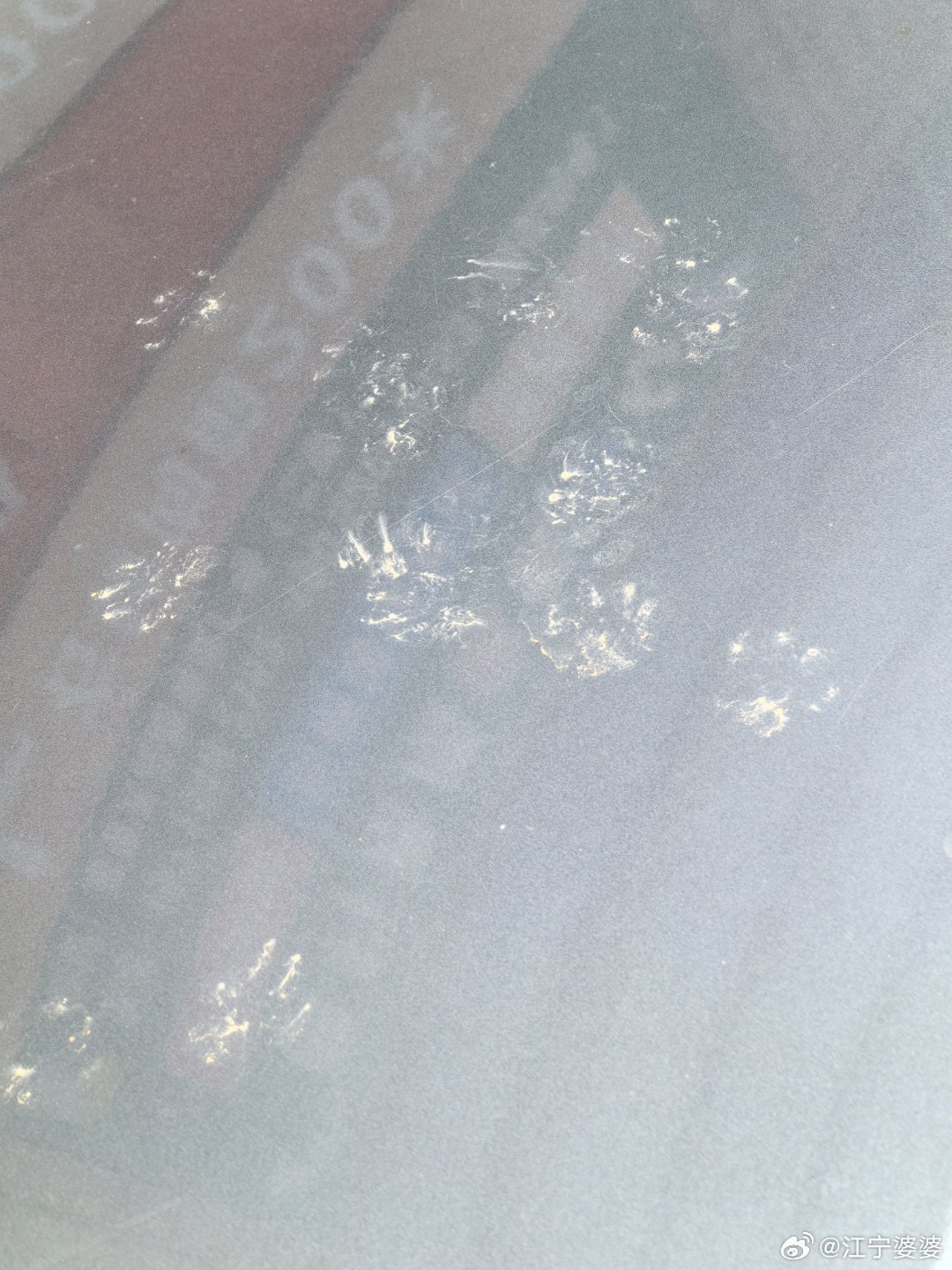 小猫咪能有什么坏心思呢，无非是不洗jio罢了